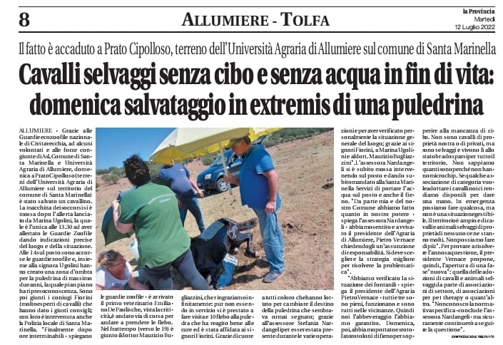 CAVALLO SALVATO